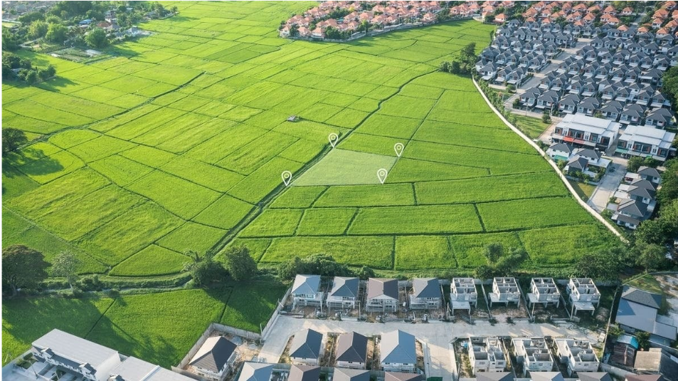 SM Maisons - Vivre en lotissement ou en zone rurale : Quel cadre choisir selon votre mode de vie ?